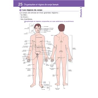 Tout le DEAS en fiches mémos - IFAS - Diplôme Etat Aide-Soignant 5è ed - Nouveau référentiel 2021