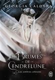 Les Brumes de Cendrelune