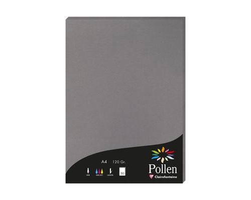 POLLEN GRIS ACIER ETUI 50F A4 120G
