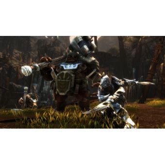 Kingdoms of Amalur Reckoning PC