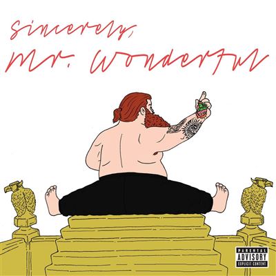 Mr Wonderful Vinyle