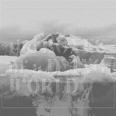BONES OF A DYING WORLD/LP