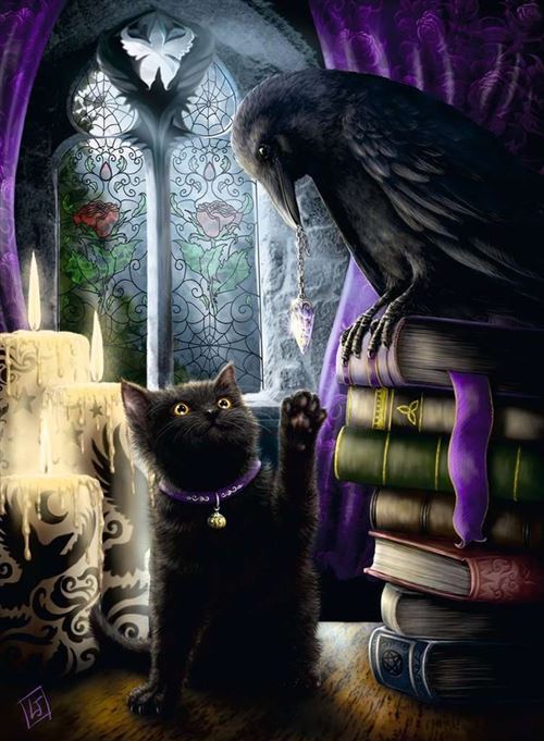 PUZZLE 500 P : CHAT NOIR ET CORBEAU
