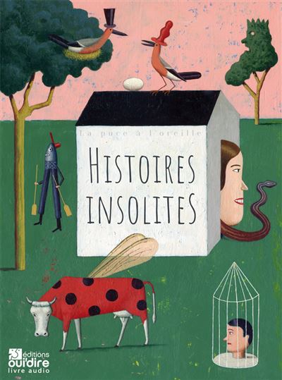 Histoires insolites - Jihad Darwiche - Texte lu (CD)