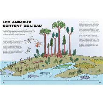 La Grande histoire de la vie