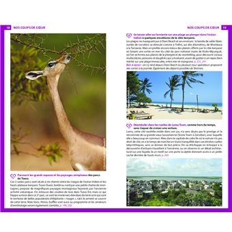 Guide du Routard Kenya Tanzanie 2022/23