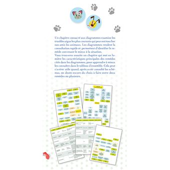 Première trousse homéopathique pour chiens et chats