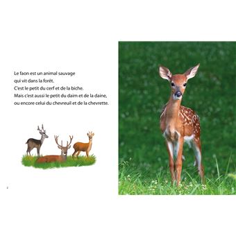 Premières lectures - National Géo - À la découverte des faons