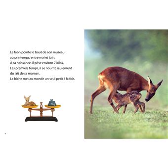 Premières lectures - National Géo - À la découverte des faons