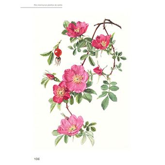 Mes meilleures plantes de santé