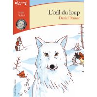 Livre Jeunesse n°8: L'Oeil du Loup Daniel PENNAC – Kingdom Of Words