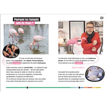 Comment se forme un arc-en-ciel ? et autres questions colorées