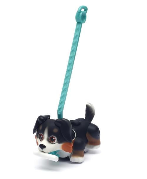 Chien Bernois Pet Parade avec os et laisse