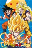 Poster Dragon Ball Z 3 Gokus Evo