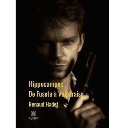 Hippocampes - Renaud Hadef - broché