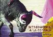 Introduction à la corrida