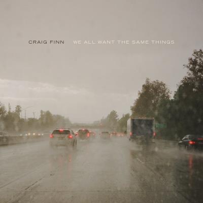 ALL WANT THE SAME THINGS/2LP