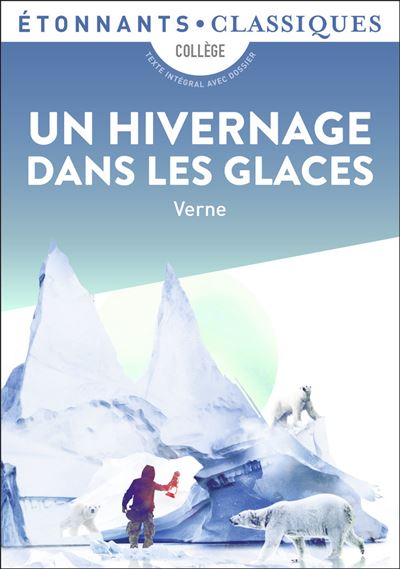Un hivernage dans les glaces - Jules Verne - Poche
