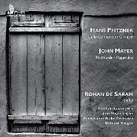 Oeuvres violon & orchestre