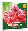 La flore des antilles