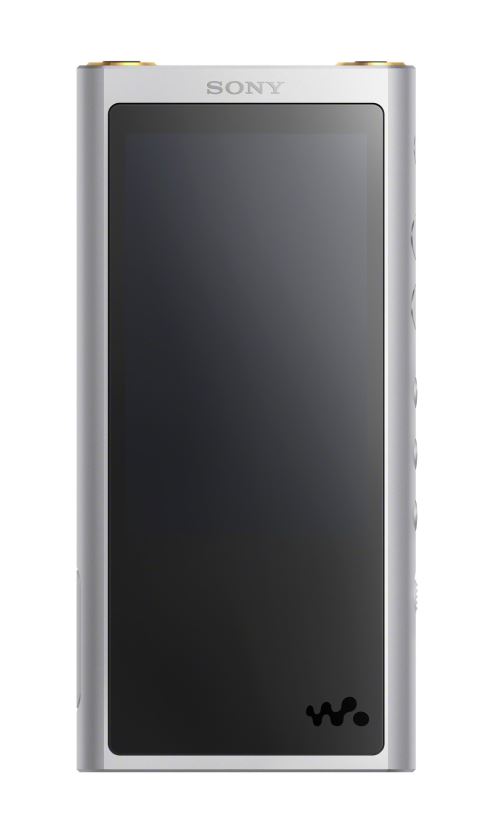 Lecteur MP3 Sony NW-ZX300 64 Go Gris