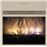 Forever home live in japan(2cd+blr)