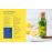 Douceurs Citron Bio NED_2