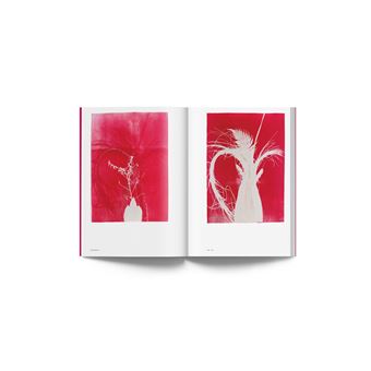Luiz Zerbini, Botanica