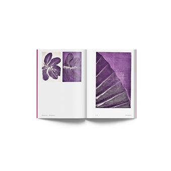 Luiz Zerbini, Botanica