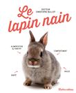Le lapin nain