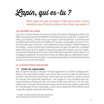 Le lapin nain