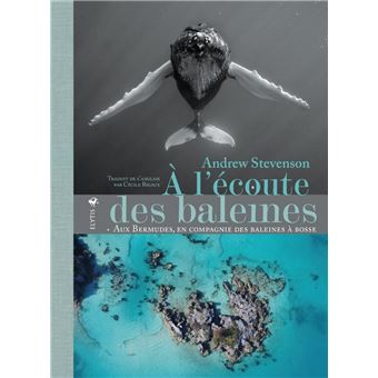 À l'écoute des baleines - Aux Bermudes, en compagnie des bal