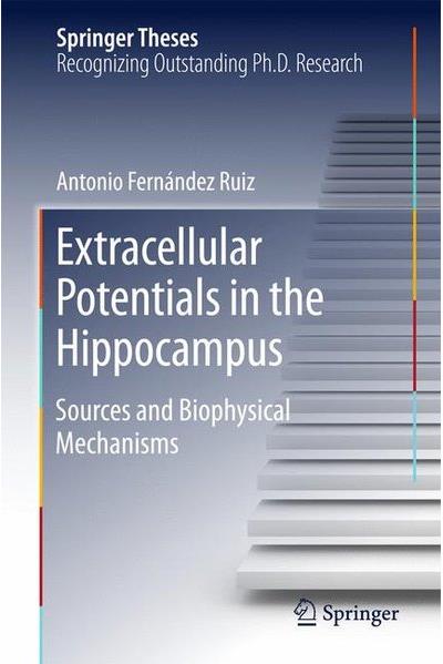 Extracellular potentials in the hippocampus