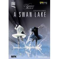 A swan lake