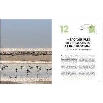 Les plus beaux lieux pour voir la vie sauvage en France