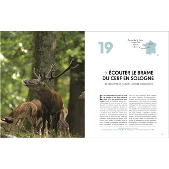 Les plus beaux lieux pour voir la vie sauvage en France