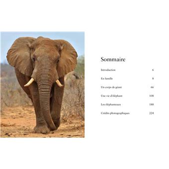 Les éléphants - Puissants et délicats