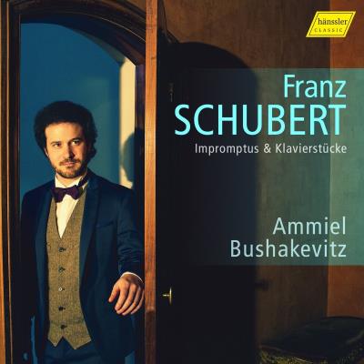 Impromptus/pieces pour piano