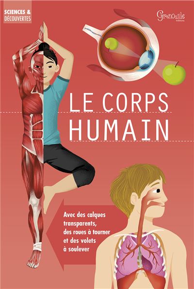 Le corps humain - Mark Ruffle - cartonné