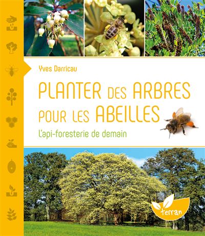 Planter des arbres pour les abeilles - L'api-foresterie de demain
