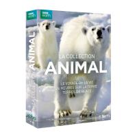 Coffret Collection Animal 3 documentaires DVD
