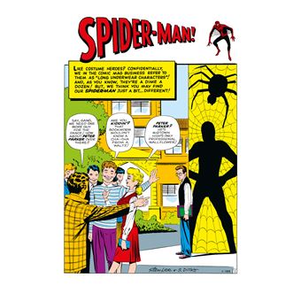 Amazing Spider-Man : À grands pouvoirs (Ed. cartonnée) - COMPTE FERME