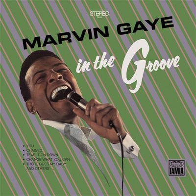 In-The-Groove.jpg
