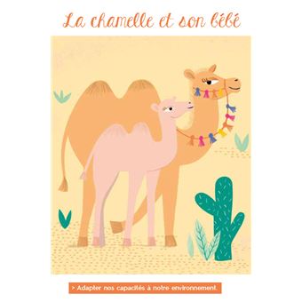 Petits contes de sagesse