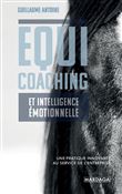 Equicoaching et intelligence émotionnelle