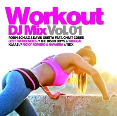 Workout dj mix/volume 1