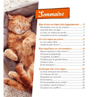 10 conseils pour un chat heureux de vivre en appartement