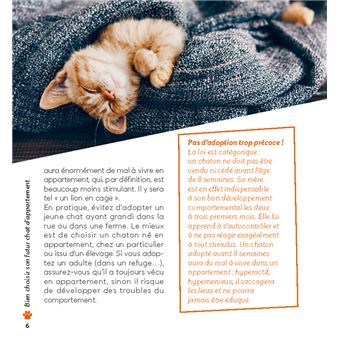 10 conseils pour un chat heureux de vivre en appartement