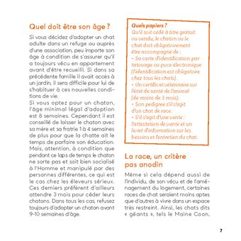 10 conseils pour un chat heureux de vivre en appartement