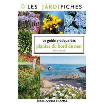 Le guide pratique des plantes du bord de mer